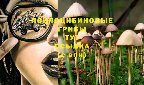 кокс Верея