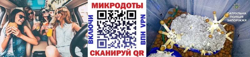 Псилоцибиновые грибы Cubensis ссылка на мегу онион Ростов